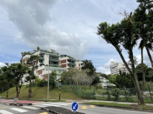 Pinetree Hill Showflat