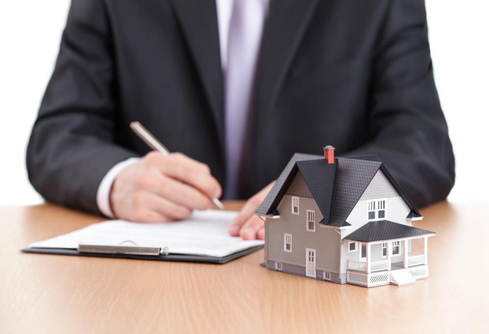 Pinetree Hill launch price